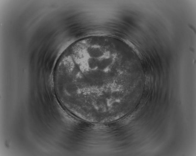 X0000092231466200710121207