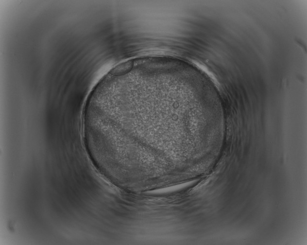 X0000092231467200710121207