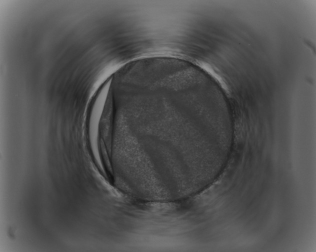 X0000092231469200710121207