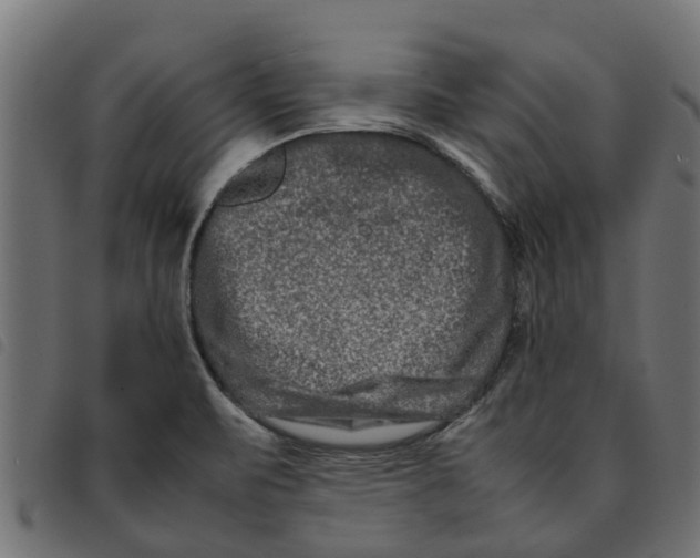 X0000092231471200710121207