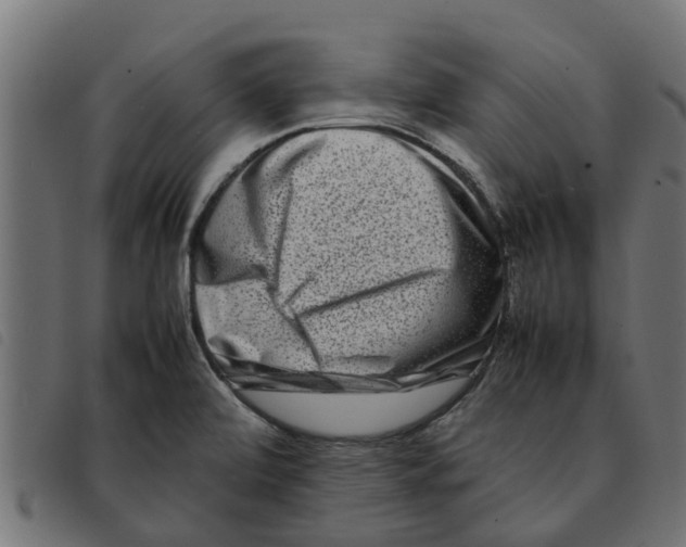 X0000092231472200710121207