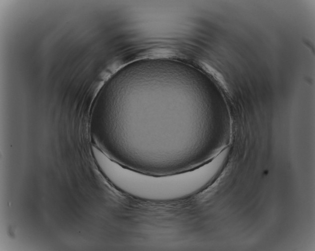 X0000092231473200710121207