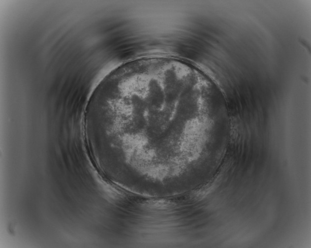 X0000092231474200710121207