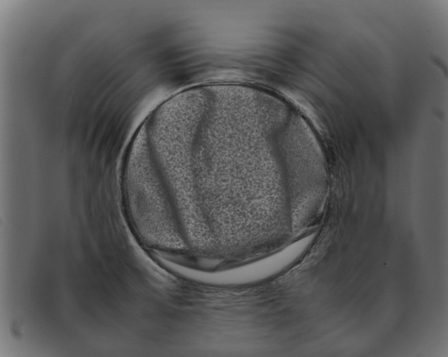 X0000092231475200710121207