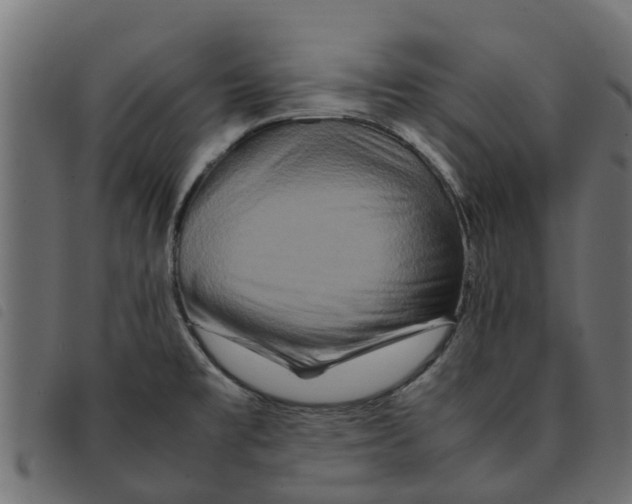 X0000092231477200710121207