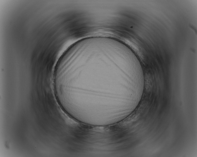 X0000092231478200710121207