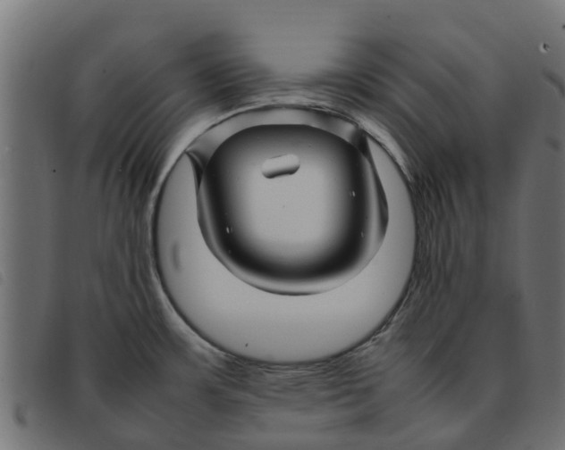 X0000092231483200710121207