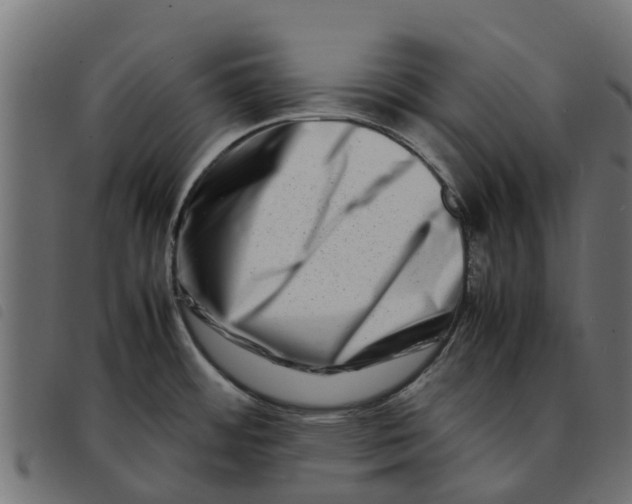 X0000092231484200710121207