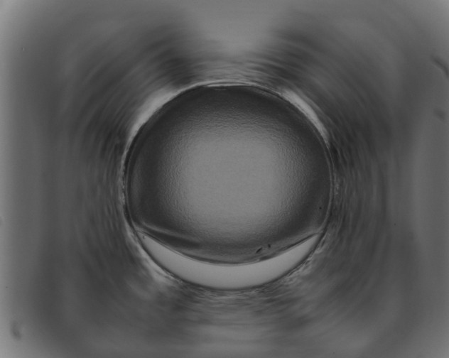 X0000092231485200710121207