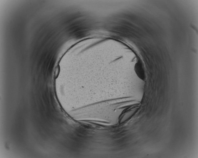 X0000092231488200710121207