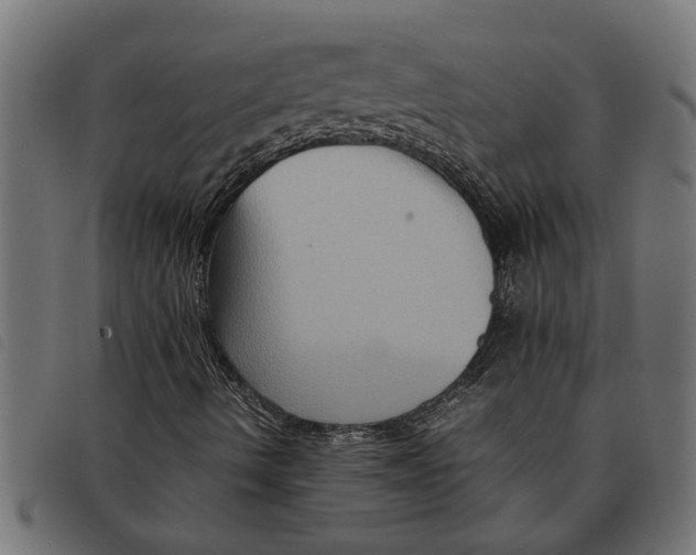 X0000092231490200710121207