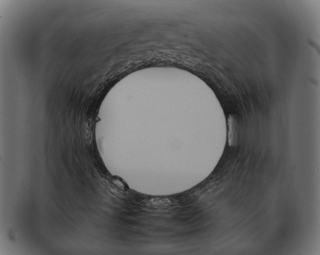 X0000092231491200710121207