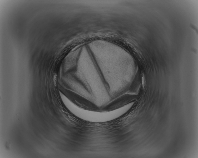 X0000092231492200710121207