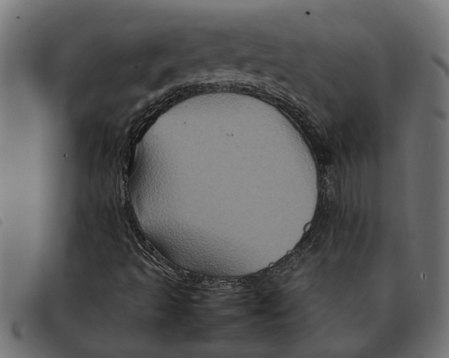 X0000092231493200710121207