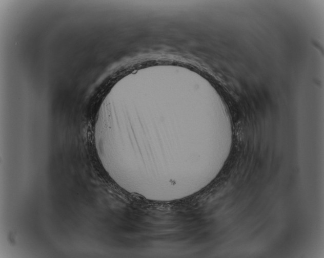 X0000092231495200710121207