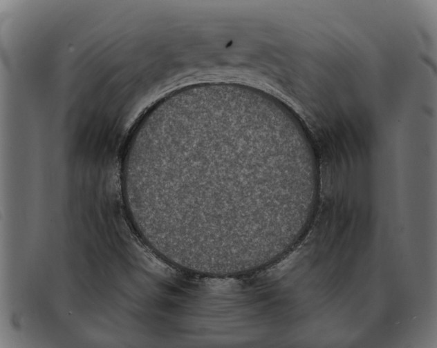 X0000092231498200710121207