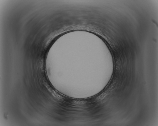 X0000092231499200710121207