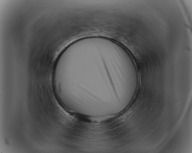 X0000092231500200710121207