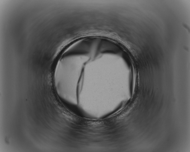 X0000092231501200710121207