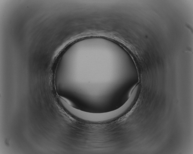 X0000092231502200710121207