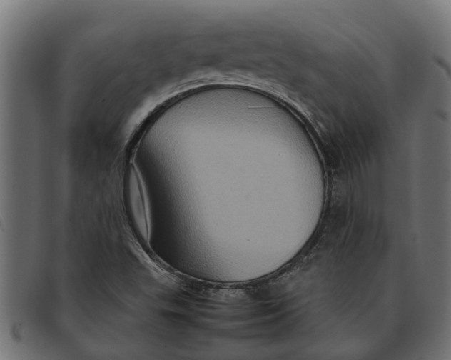 X0000092231503200710121207