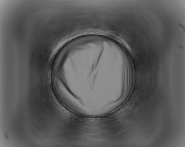 X0000092231504200710121207