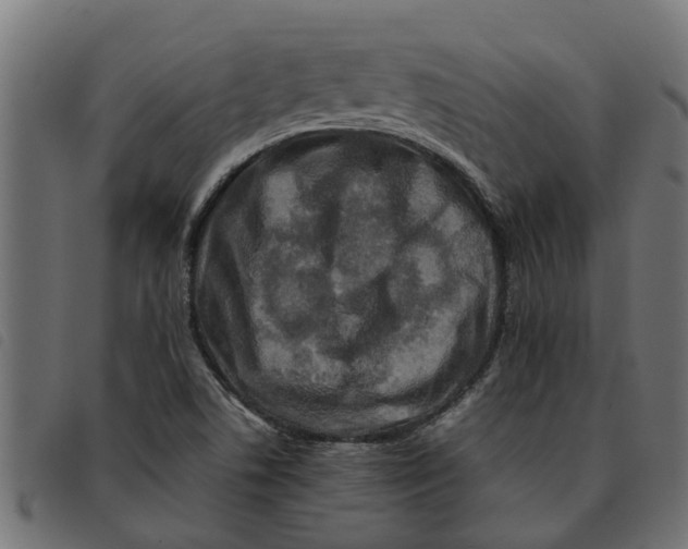 X0000092231506200710121207