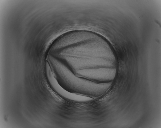 X0000092231507200710121207