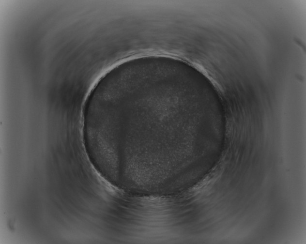 X0000092231508200710121207