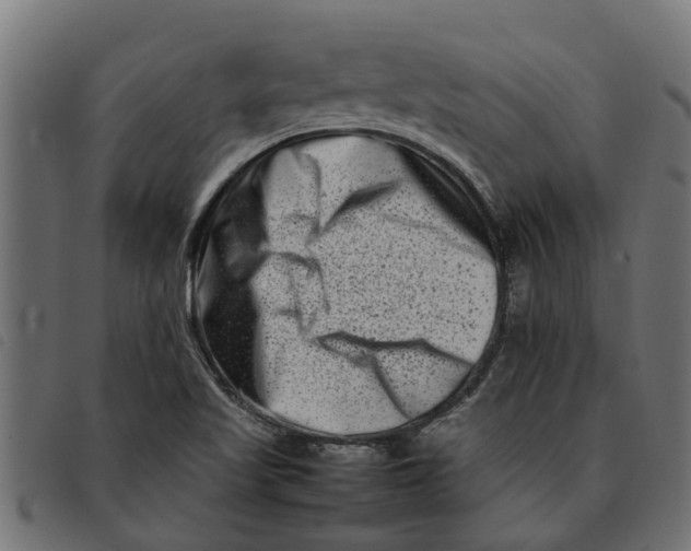 X0000092231509200710121207