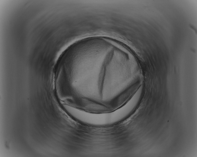 X0000092231510200710121207