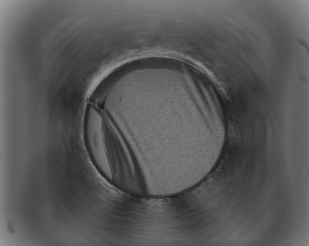 X0000092231512200710121207