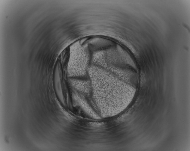 X0000092231513200710121207