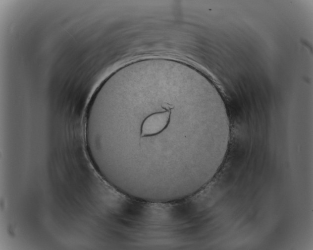 X0000092231514200710121207