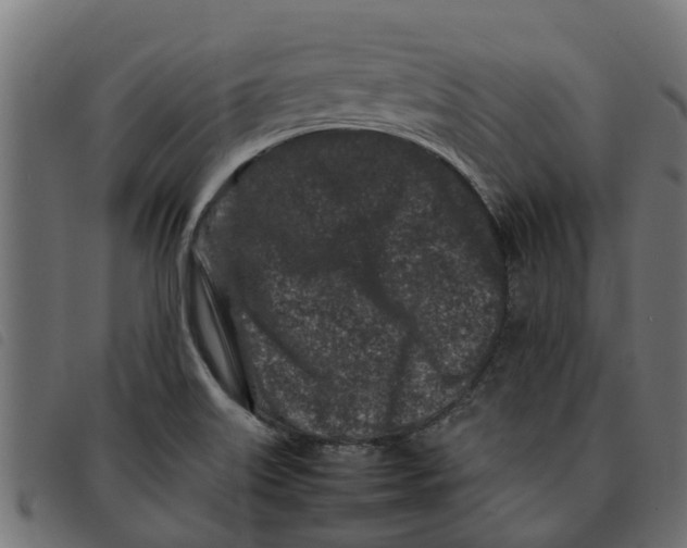 X0000092231515200710121207