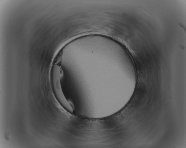 X0000092231516200710121207