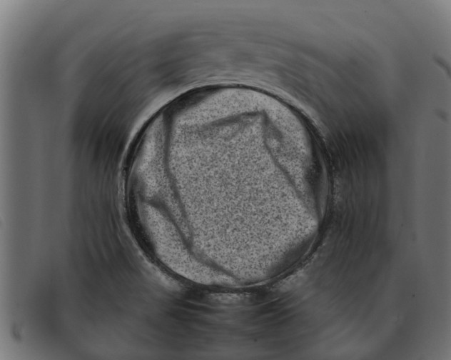 X0000092231517200710121207