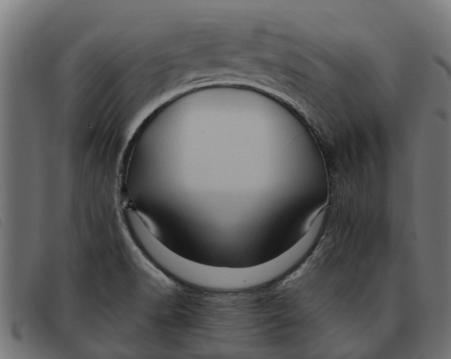 X0000092231518200710121207