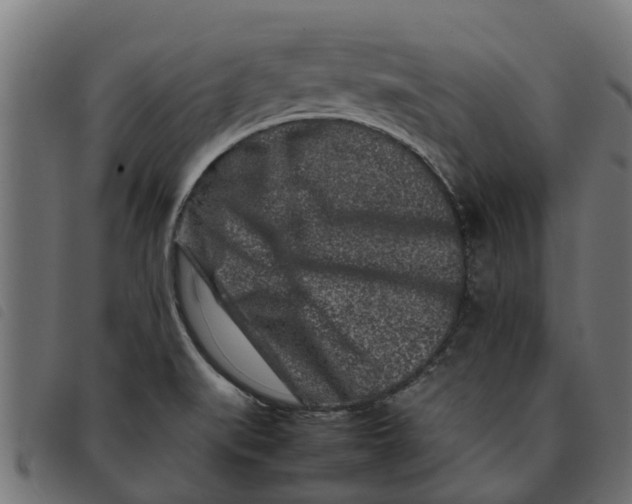 X0000092231519200710121207