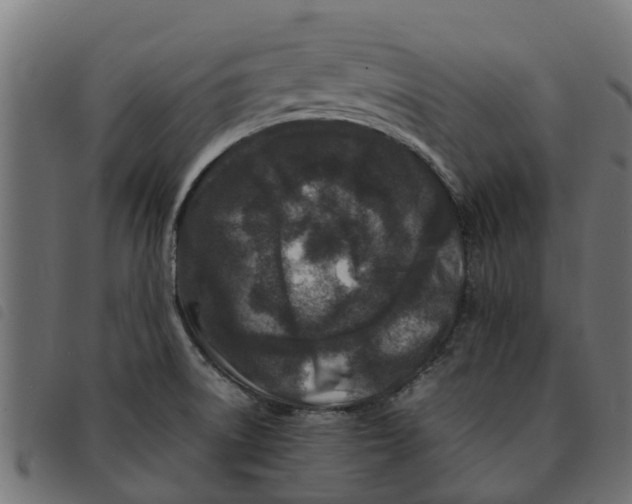 X0000092231522200710121207