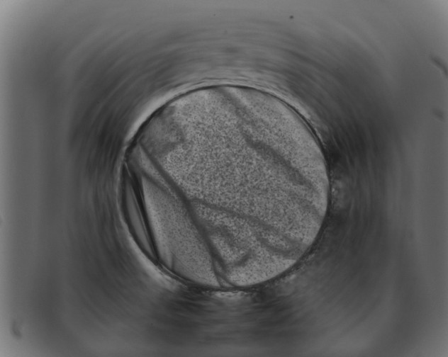 X0000092231523200710121207