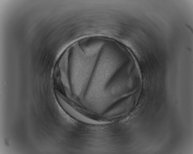 X0000092231524200710121207