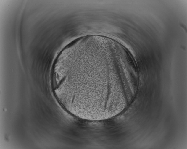 X0000092231525200710121207