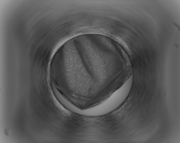 X0000092231528200710121207