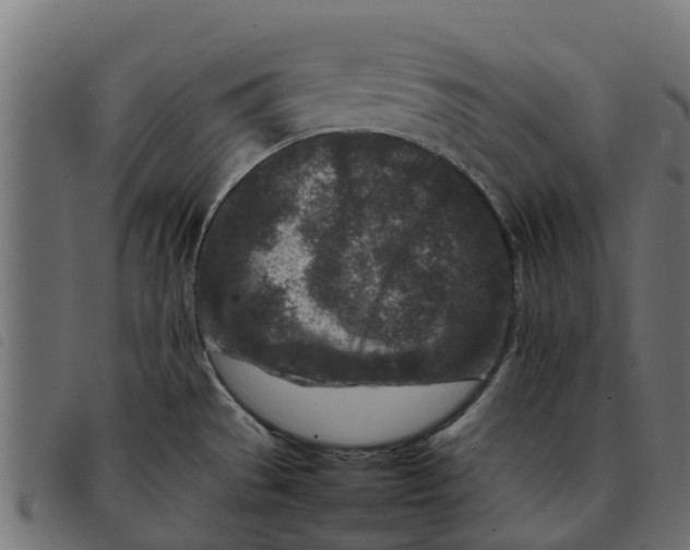 X0000092231529200710121207