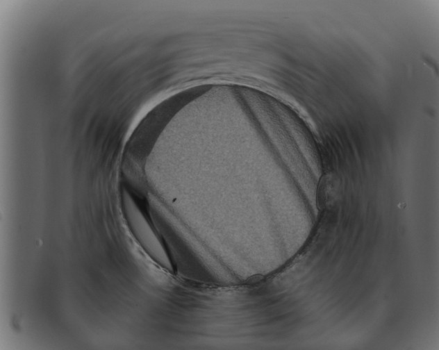 X0000092231530200710121207