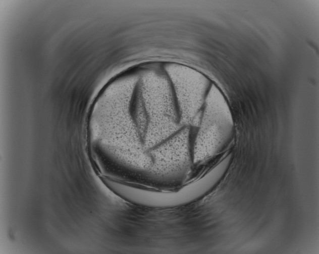 X0000092231531200710121207