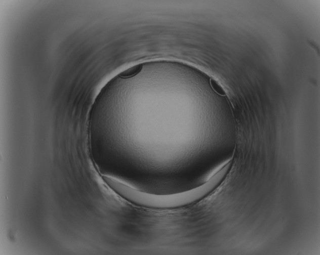 X0000092231534200710121207