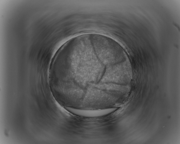 X0000092231535200710121207