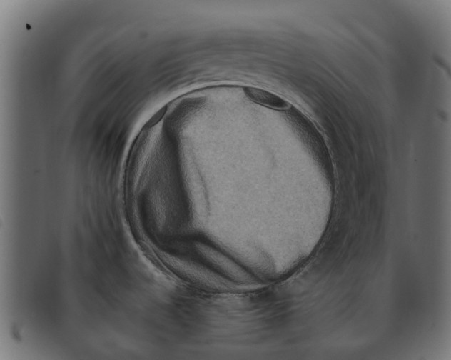 X0000092231536200710121207